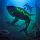 SharkXNfts