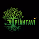 Tef_12