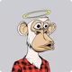 xveys_vaultvault