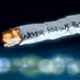 melon_territory
