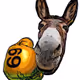 Donkey69Puncher