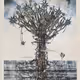 xiaodong_yu
