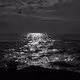 0c3bw56