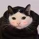 WinnifredJenine
