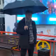 pulebedev