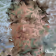 onlygenerated