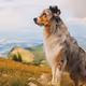 cryptodog566