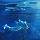 NFTinitcom_Kaskade