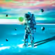 wisdomii
