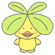 Pachi_XP