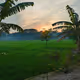 village_picture
