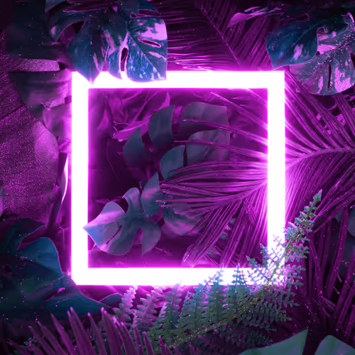 OpenSea profile picture for @Seamless