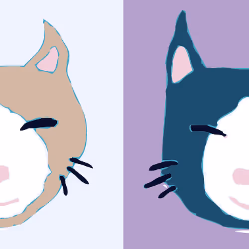 OpenSea banner for @ruki