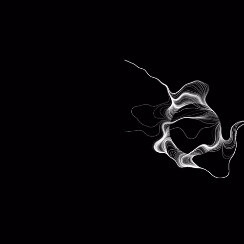 OpenSea banner for @insanity