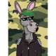 0x550ad41f62c4a9c0d23cecb3d559af95f9a34056
