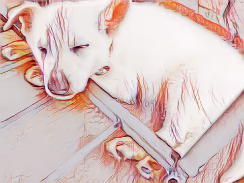 OpenSea profile picture for @Confessional