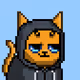 CatzCollector