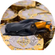 newbiek