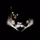 TigersNFTClub