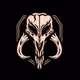 Anonymous_Jedi