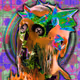 davidvnun_2020-2024