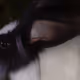 0x55a740f883f0247c12a396c2e9ac0ce9b4e05e04