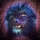 Falcoredog
