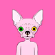0x55d024767a5ed47c2ac34c7e923608b41eb3b60e