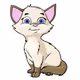 Sunny_Cat