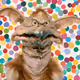 Salacious_B_Crumb