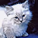 NFkiTties
