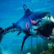 SeaAnimal1