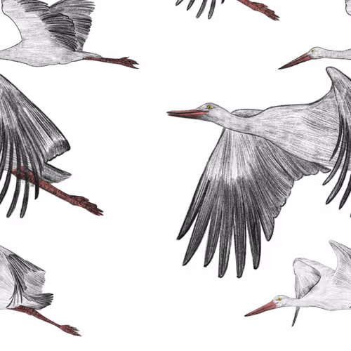 OpenSea banner for @Broccoli