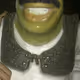 ShrekNFTs