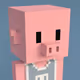 secretpig