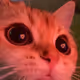 Gintas