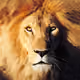 0x56b891fe839f9c30215f5673b751be40bbb2b3f3