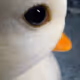 bapen