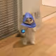 shaw_