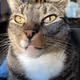 Cafunk-