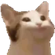 0x56fc03b55e7ae2a24dd8e23b64278c30516ab50a