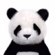 TOYPANDA
