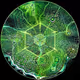 0x57341fa16b1e795035756121a388824384a8a8a8