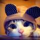 DrOilcat