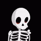 0x573f0d8ac23e344ae0552753fa78b6ec65351d04