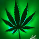 MoliWeed