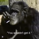 SenorMonkeyMan