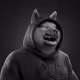 Brothers_Shib