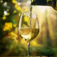 soave998