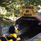 TunnelOfBees